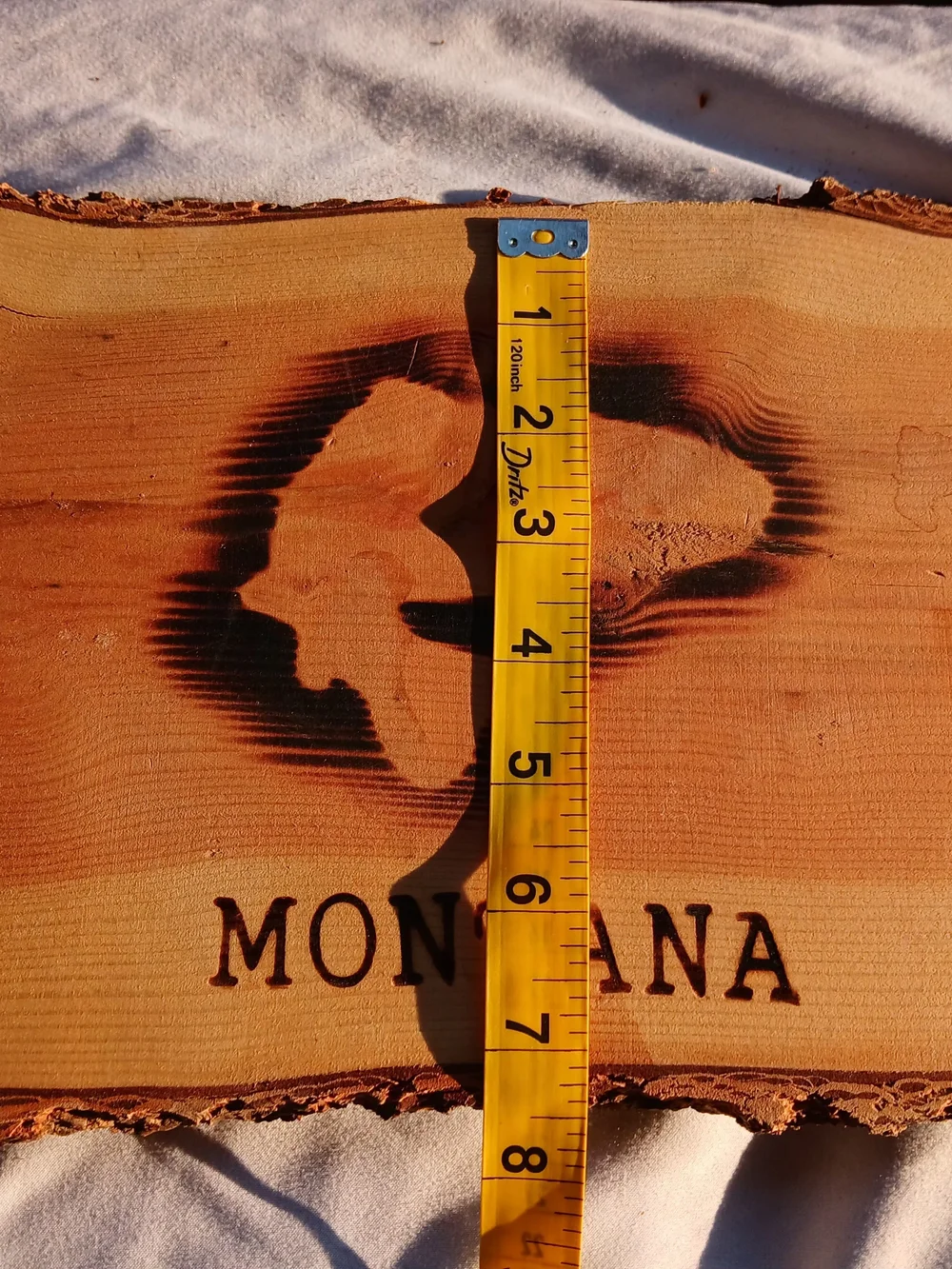Montana Fish Wood Wall Art Sign - Natural Brown & Black